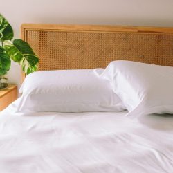NESTBEDDING2020 1646web.jpg