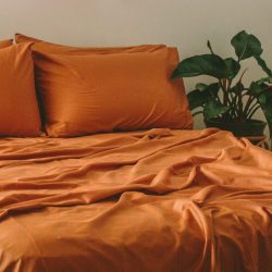 NESTBEDDING2021 294cropweb.jpg