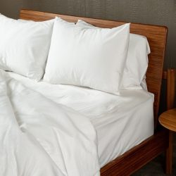 NestBedding 166.jpg