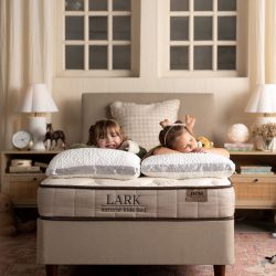 Lark Natural Kids Bed