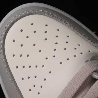 Air Jordan 1 Retro Low Dior 6.jpg