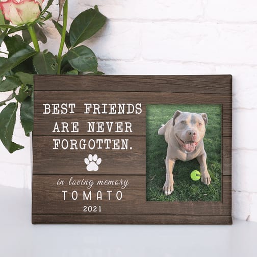 Best Friends Are Never Forgotten Personalized Pet Memorial Canvas Wall Art 1 – Pet Memorial Gifts